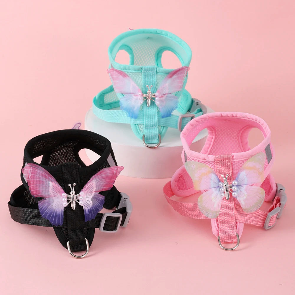 Cute Butterfly  Cat/ Small Dog Harness Set