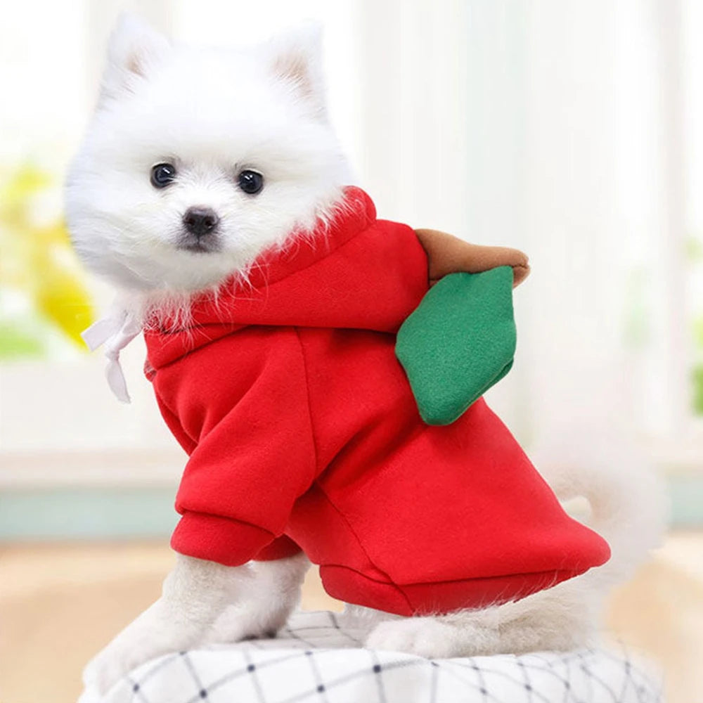 Cute Fruit Pet Clothing Puppy Cat Costume