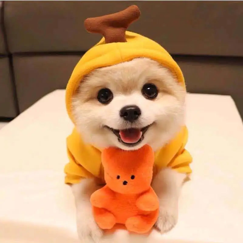 Cute Pet Sweater for Small & Medium Breeds