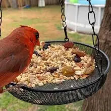 Metal Mesh Platform Bird Feeder