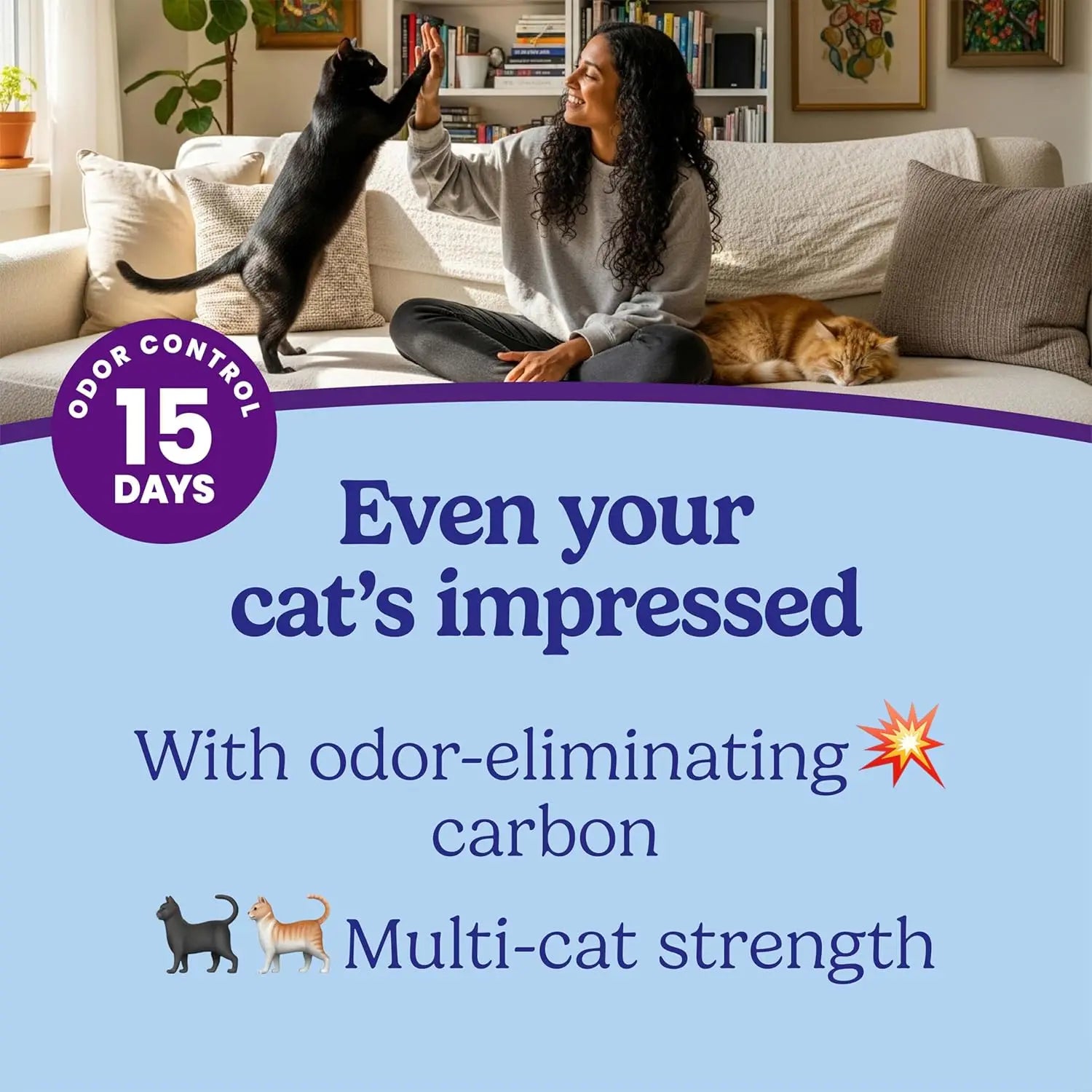 Clumping Cat Litter for Multi-Cat Homes, 14 lb
