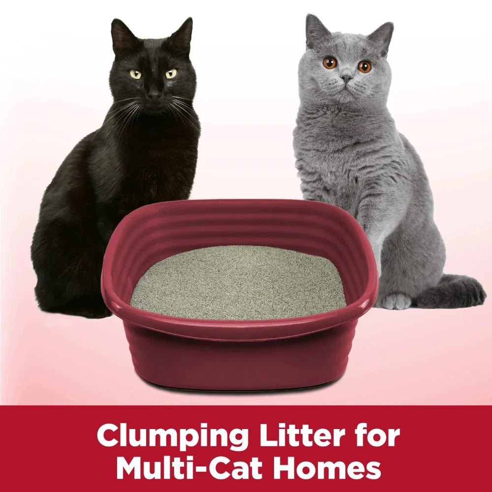 Arm Hammer Fresh Scent Clumping Cat Litter 14 lb 2 Pack