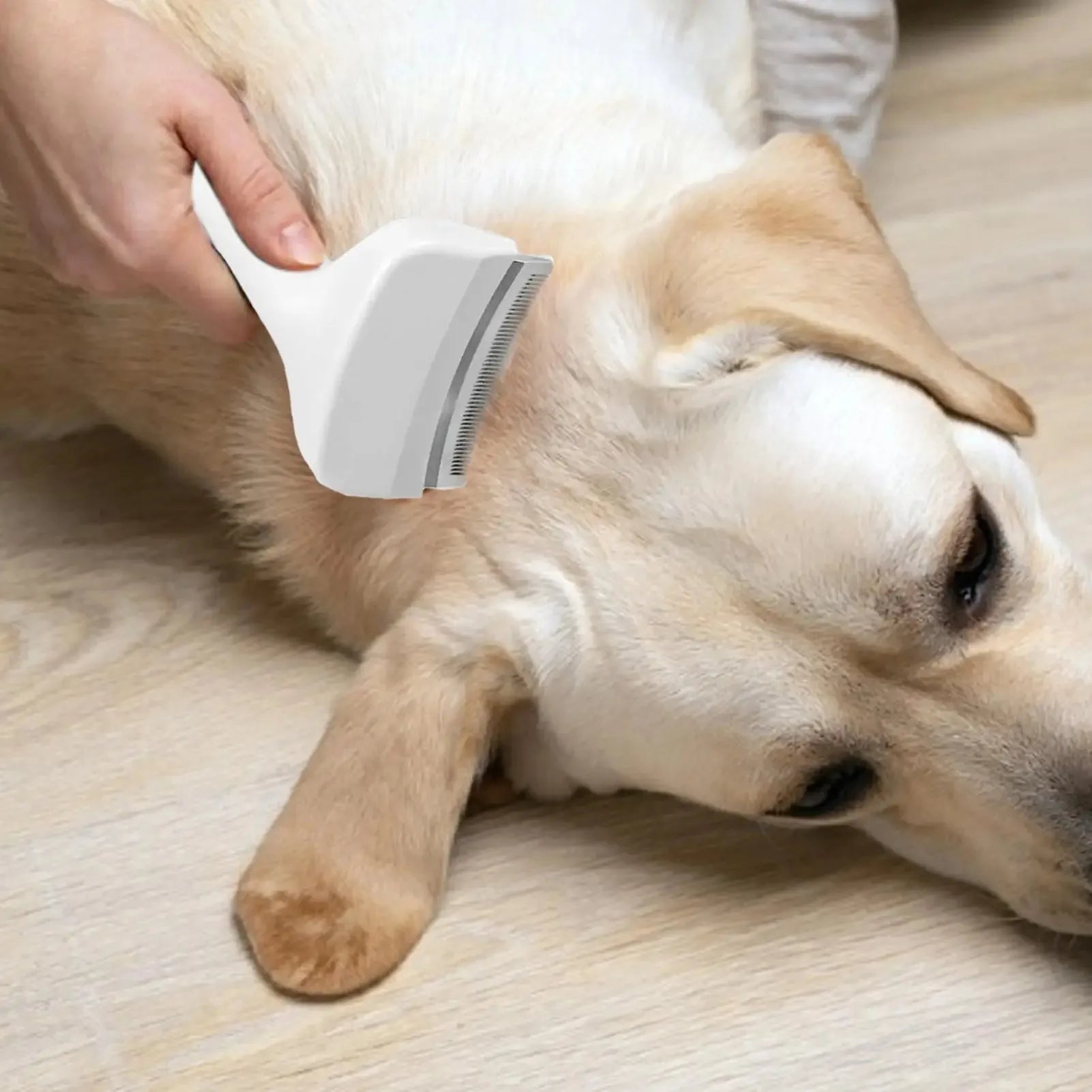 Undercoat Deshedding Rake For Dogs Cats Puppy Kitten