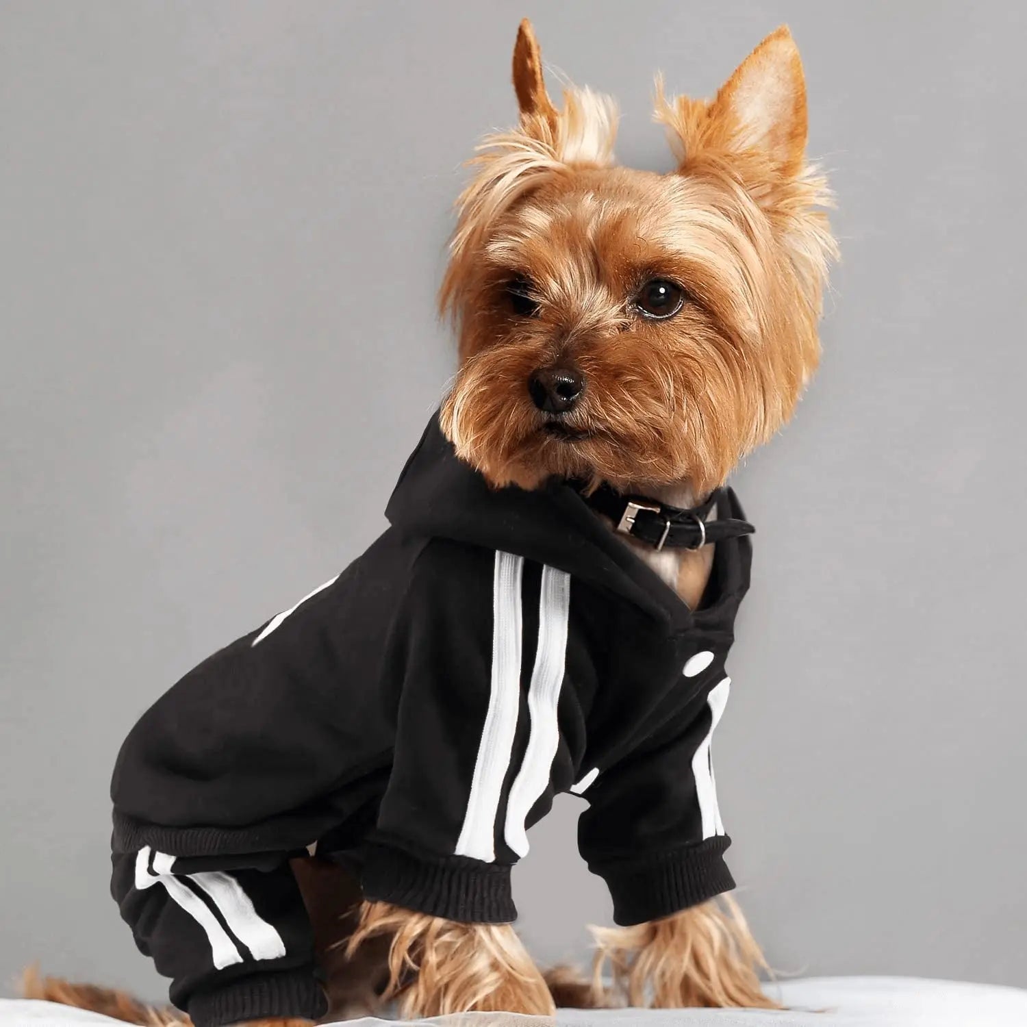 Brand Design Adidog Clothing Jumpsuit Sports Suit